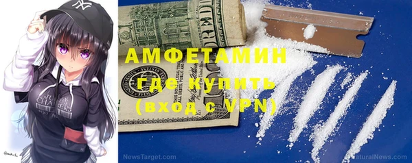 индика Верея