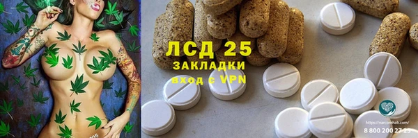 ПСИЛОЦИБИНОВЫЕ ГРИБЫ Михайловка