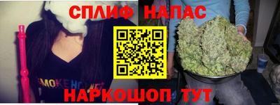 гидра Берёзовский