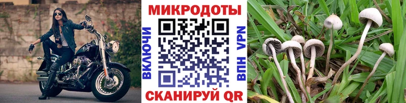 Псилоцибиновые грибы Magic Shrooms  OMG ссылка  Вичуга  сколько стоит 