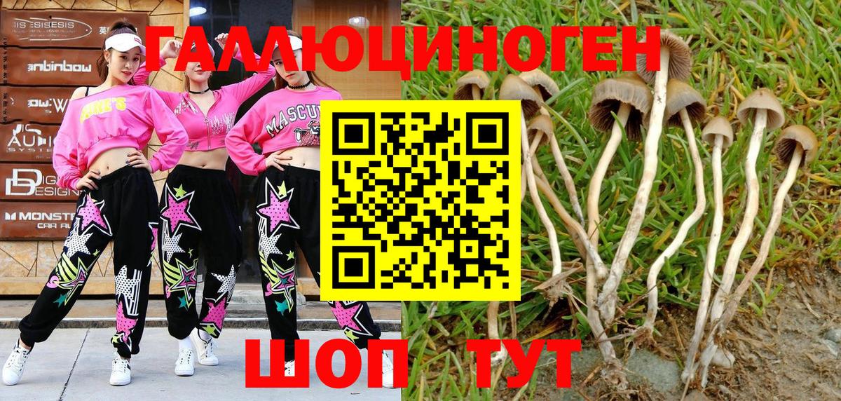 Бошки Шишки  Меф МЯУ МЯУ   Бошки Шишки  Вичуга  Мефедрон кристаллы  Где купить наркотики?  Метадон 